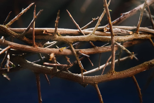 Thorn wreath. Death and resurrection of Jesus Christ. Horizontal image. - Photo, Image