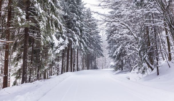 Snowy road - Foto, Imagen
