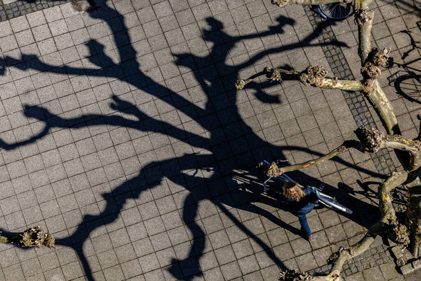 Kodaň, Dánsko Dánka řídí kolo na slunném dvoře se znečištěnými stromy na jaře. - Fotografie, Obrázek