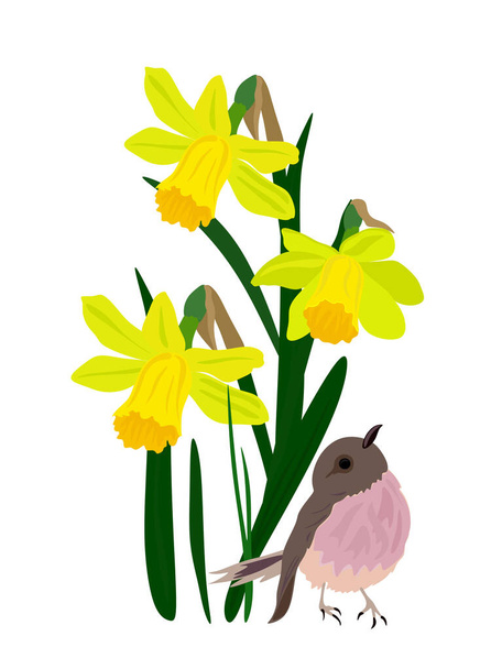 Spring yellow flowers with a bird. Vector illustration with daffodils. - Vektor, Bild