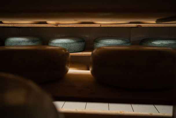 Maturing cheese wheels on wooden shelves, ripening process in cheese storage. Close up - Photo, Image