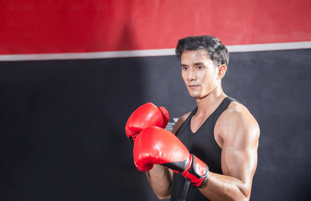 Portrait of Strong young athlete sportsman muay thai boxer fighting in gym, muscular handsome boxing man fighter with copy space - Photo, Image