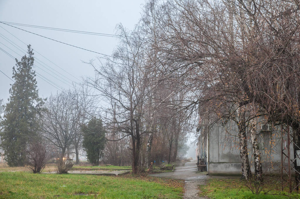 Selective blur on an empty road and street in the village of Vladimirovac in Vojvodina, Banat, Serbia, in the countryside, with a smog and fog during a cold freezing afternoon of winter. - Foto, Bild