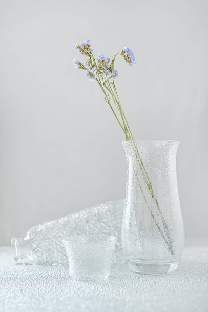 zátiší s průsvitnými skleněnými vázami, suchými větvemi s květinami a mnoha jemnými kapkami vody - Fotografie, Obrázek