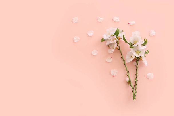 kuva kevään valkoinen kirsikka kukkii puu vaaleanpunainen pastelli tausta - Valokuva, kuva