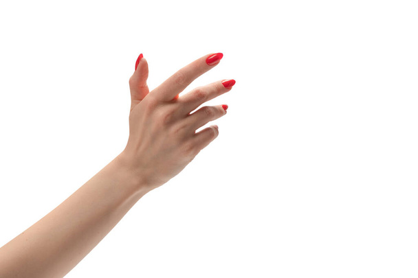 Kırmızı tırnaklı bir kadın eli, beyaz arka planda izole edilmiş bir şey tutuyor..  - Fotoğraf, Görsel
