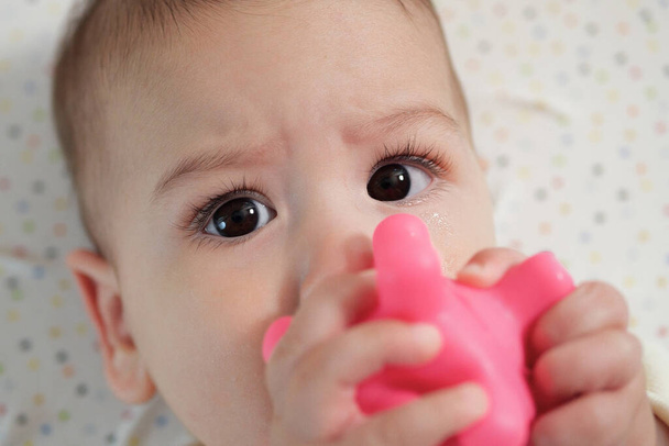 Lindo adorable bebé recién nacido jugando con colorido juguete sonajero. bebé con mordedor. seis meses de edad hermoso bebé retrato en blanco con mordedor juguete. - Foto, imagen