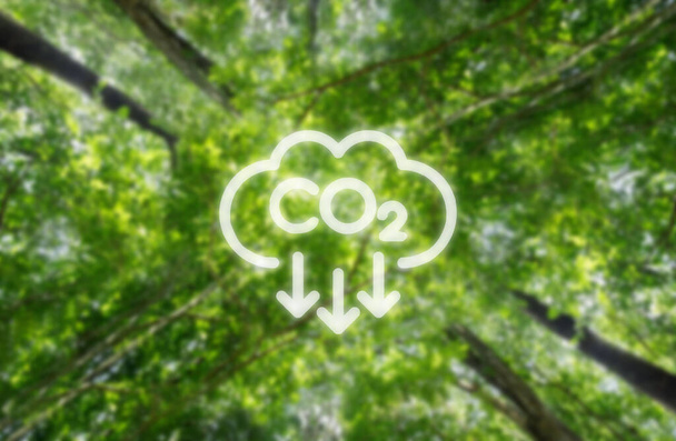 Reduce CO2 emissions to limit climate change and global warming. Low greenhouse gas levels, decarbonize, net zero carbon dioxide footprint. green background. - Foto, afbeelding