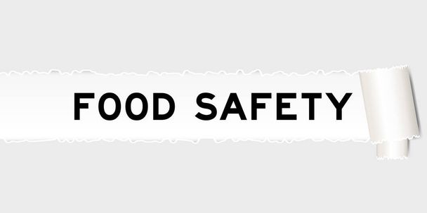 Zerrissenes graues Papier Hintergrund, die Wort Lebensmittelsicherheit unter zerrissenen Teil haben - Vektor, Bild