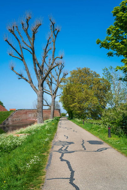 Egy üres út vezet a távolba egy holland gát tetején tavasszal. Vidéki tájkép. - Fotó, kép