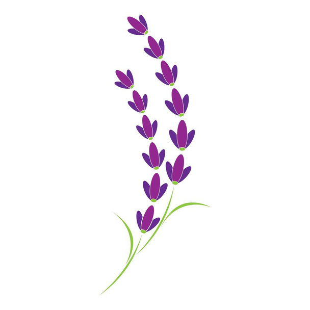 lavender, flower illustration logo vector  - Vector, Imagen