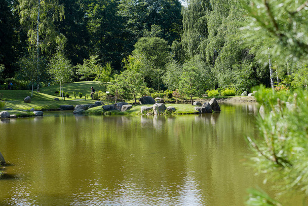 lake of japanese garden inside kadriorg park on sunny day - Fotoğraf, Görsel