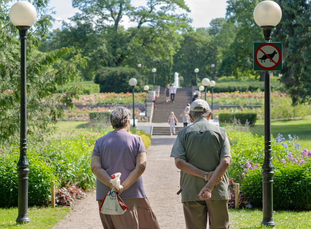 an old couple walks into tallinn park in sunny day - Fotó, kép
