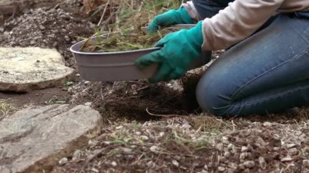 Puutarhuri seulonta maaperän maaperän seulan kasvien keskipitkän hidastettuna laukaus valikoiva painopiste - Materiaali, video