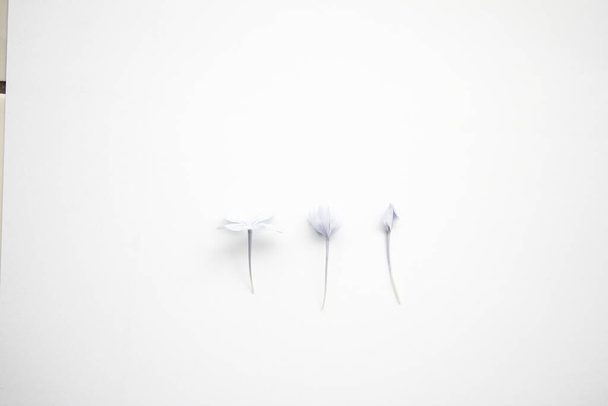 white cotton needles on a light background - Zdjęcie, obraz