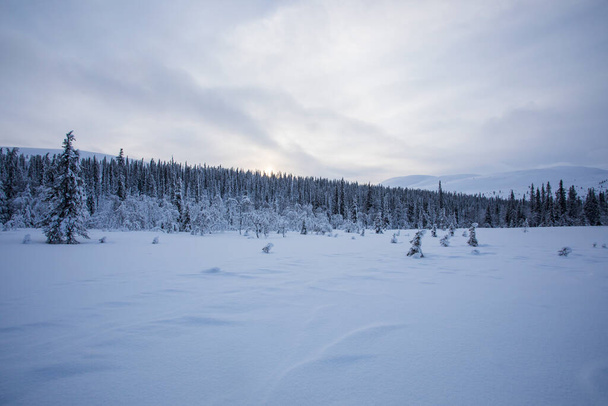 Winter landscape in Pallas Yllastunturi National Park, Lapland, northern Finland. - Фото, изображение