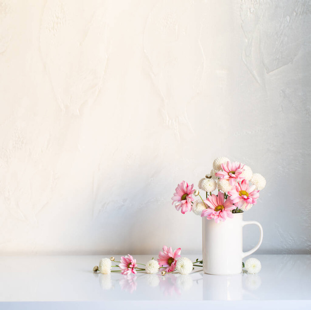 white and pink  chrysanthemums in vintage cup on white background - 写真・画像