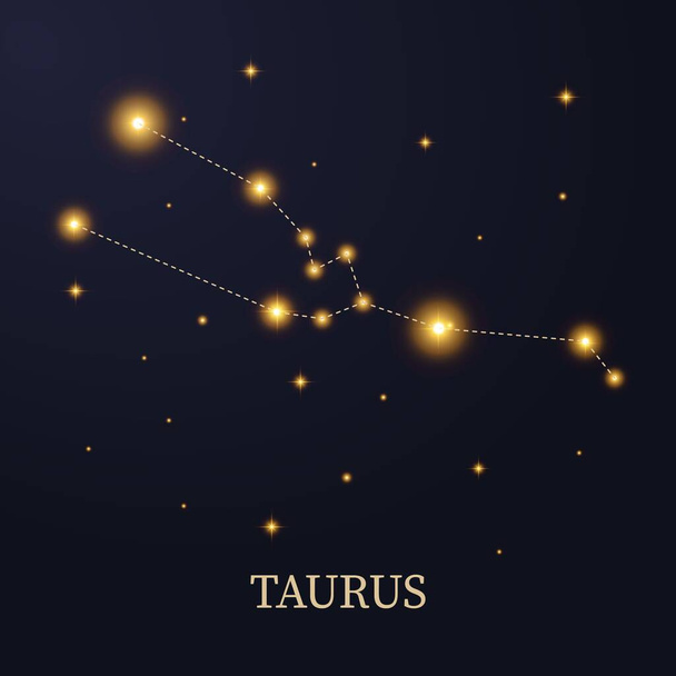 Zodiac constellation Taurus on a dark background with stars, vector illustration. - Vector, afbeelding
