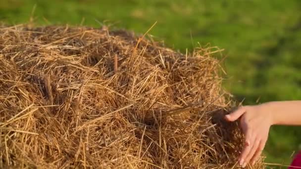 Girl hand runs over a haystack in a field. High quality video - Footage, Video