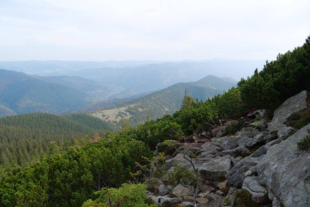 Gorgany - hegység Nyugat-Ukrajnában a Külső-Keleti-Kárpátok, szomszédos Chornohora tartományban. Kilátás a hegyre - Fotó, kép