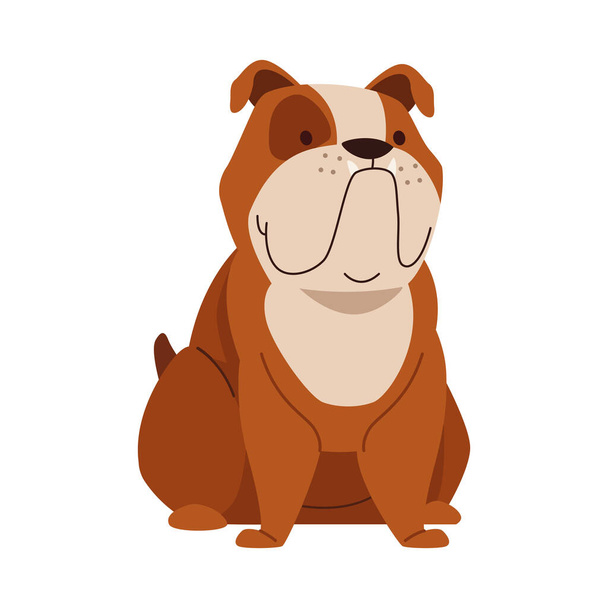 bulldog dog mascot domestic character - Vetor, Imagem