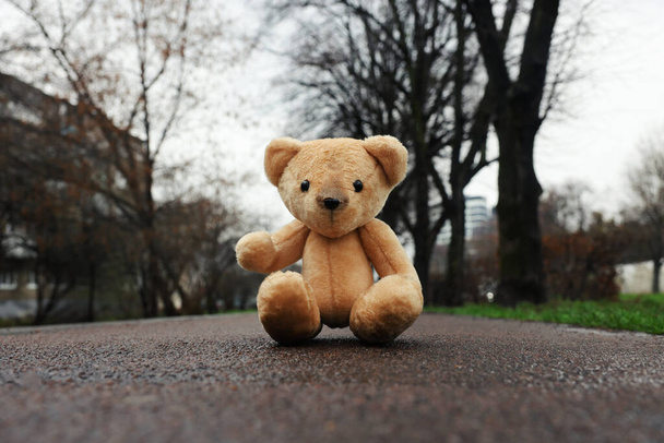 Lonely teddy bear on asphalt road outdoors - Fotografie, Obrázek