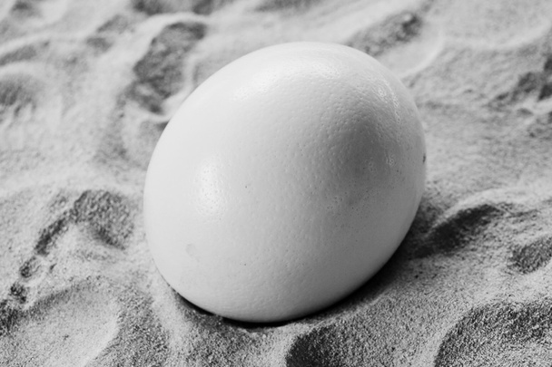 Яйця страусині
 - Фото, зображення