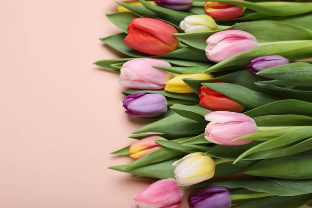 Beautiful tulips on pale pink background. Space for text - Zdjęcie, obraz