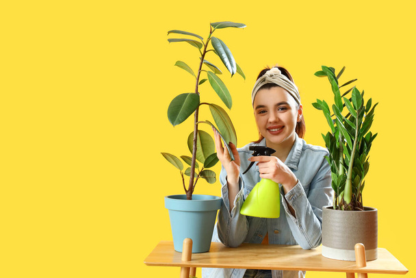 若い女性と黄色の背景に緑の観葉植物と棚 - 写真・画像