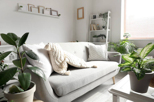 Interieur des Wohnzimmers mit Sofa und grünen Zimmerpflanzen - Foto, Bild