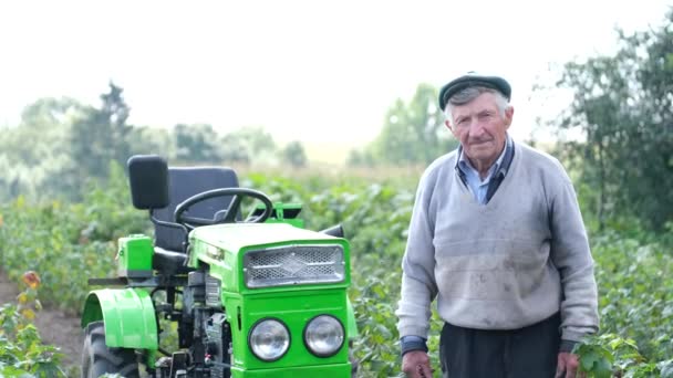 Ein älterer Bauer steht in seinem Johannisbeergarten neben einem Traktor. Saisonarbeit auf dem Feld und im Garten - Filmmaterial, Video