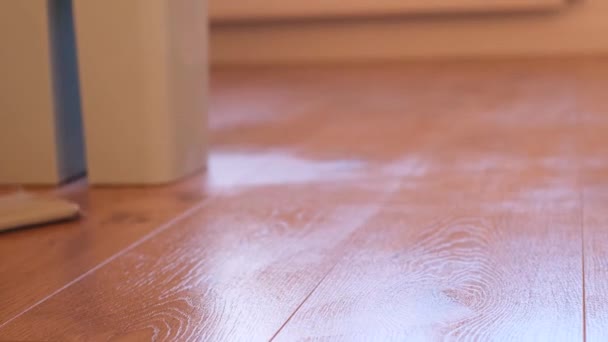 Πλένεις laminate, ξύλινο πάτωμα με σφουγγαρίστρα. Υγρό καθάρισμα ενός διαμερίσματος, ενός σπιτιού. Καθαριότητα στο σπίτι - Πλάνα, βίντεο