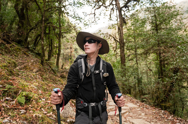 A young traveller trekking on forest trail , Nepal - Foto, Imagem