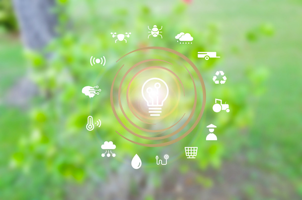 Das Kreisnetz, das eine Glühbirne mit wissenschaftsbiologischem Verbindungskonzept darstellt, steht für die Verschmelzung von Technologie und Natur und fördert Umweltfreundlichkeit und eine nachhaltige Umwelt für eine bessere Zukunft.. - Foto, Bild