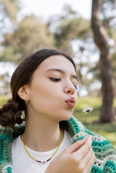 Portrait of young brunette woman blowing on daisy flower in summer park  - Photo, Image