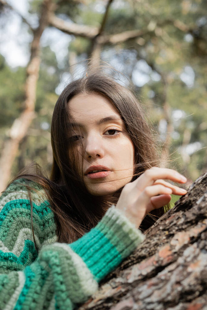 Portrait of young brunette woman in sweater looking at camera near tree trunk in park  - Fotó, kép