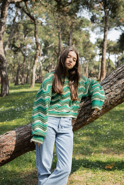 Brunette woman in knitted sweater and jeans looking at camera near tree in park  - Photo, Image