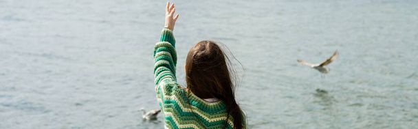 Vista posteriore della donna bruna in maglione in piedi vicino a gabbiani sfocati sull'acqua in Turchia, banner  - Foto, immagini