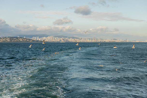 Gabbiani che volano sopra il mare con le isole Princess sullo sfondo in Turchia  - Foto, immagini