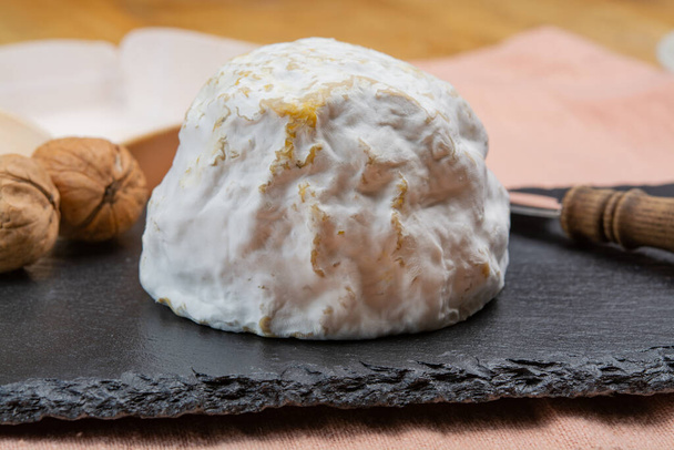 Käse-Kollektion, französischer Weichkäse mit Schimmelpilz Gaperon handwerklich mit rissigen Pfefferkörnern und Knoblauch aus der Auvergne, Frankreich - Foto, Bild