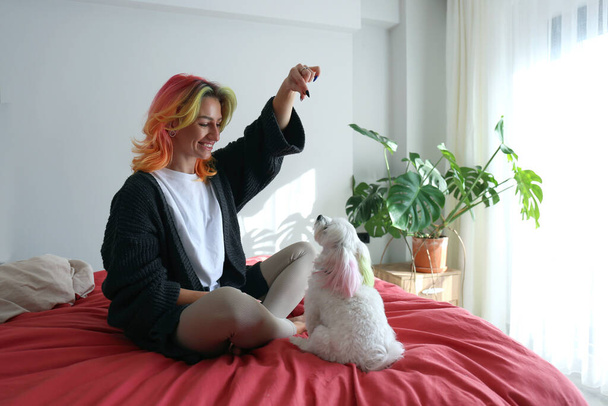 Νεαρή γυναίκα με πολύχρωμα μαλλιά παίζει με τον μαλτέζο σκύλο της στην κρεβατοκάμαρα. - Φωτογραφία, εικόνα