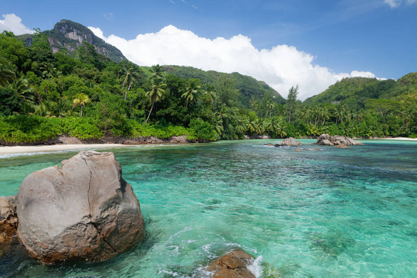 Palmiye ağaçları ve turkuaz deniz ile tropikal plaj - Fotoğraf, Görsel