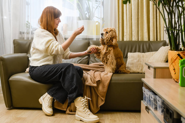 Une jeune femme avec son American Cocker Spaniel est assise sur un canapé. La femme nourrit le chien et tient sa patte. - Photo, image