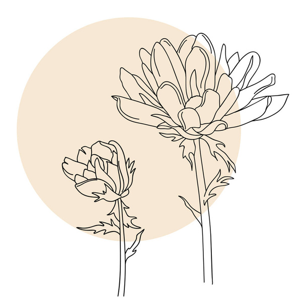 Two flowers, linear illustration. - Vector, imagen