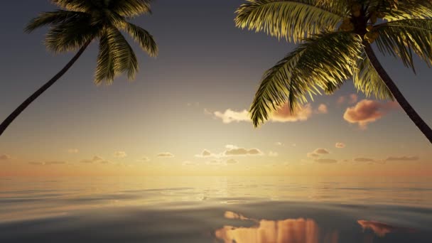 Beau coucher de soleil sur la mer, plage de palmiers tropicaux. Voyages, voyages, tourisme, vacances. - Séquence, vidéo