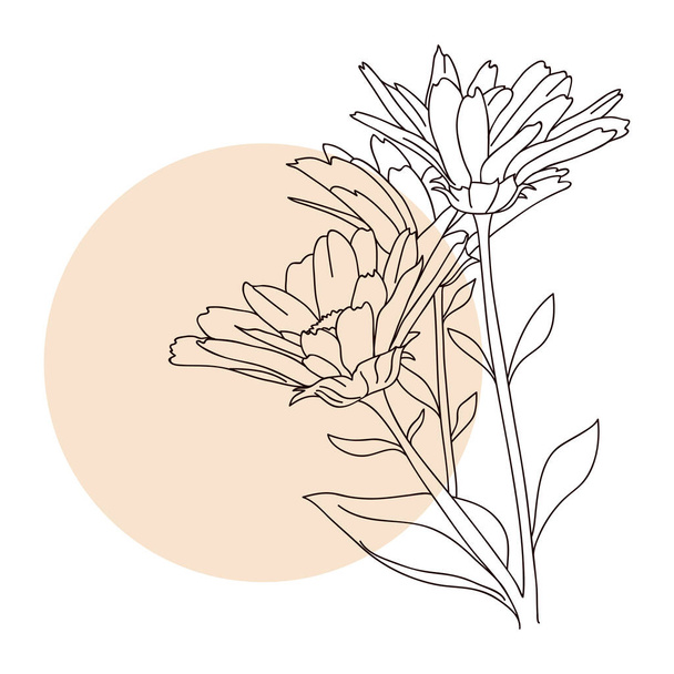Wild flowers. Vector linear illustration. - Vecteur, image