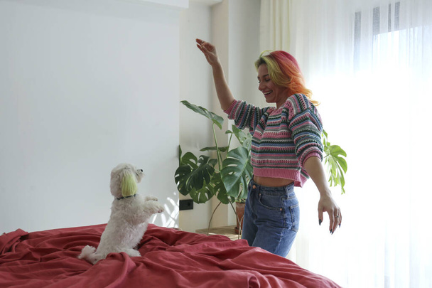 Young woman dancing with her maltese dog on the bed at home. Female with colorful hair and piercing having fun with the beloved pet. Copy space, background. - Foto, Imagem