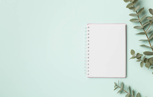 Notebook with beautiful eucalyptus branch on color background, top view. - Φωτογραφία, εικόνα