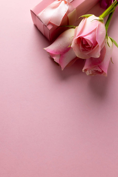 Image of pink roses and pink box with copy space on pink background. Mothers day, nature and spring concept. - Photo, image