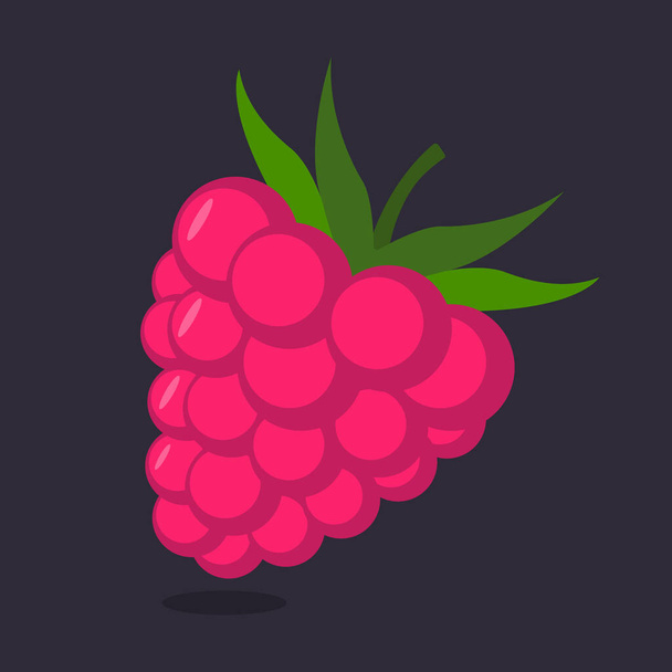 Raspberry with leaf vector icon. - Διάνυσμα, εικόνα